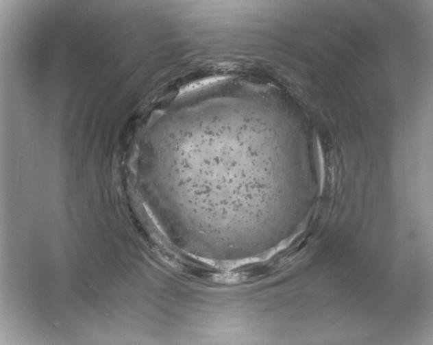 X0000061760225200512161752