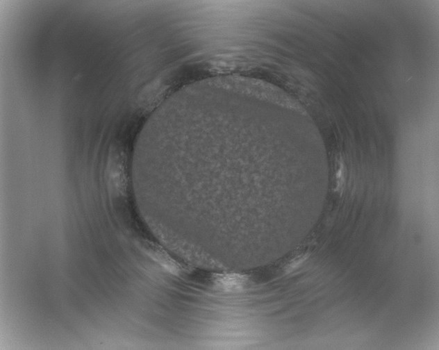 X0000061760226200512161752