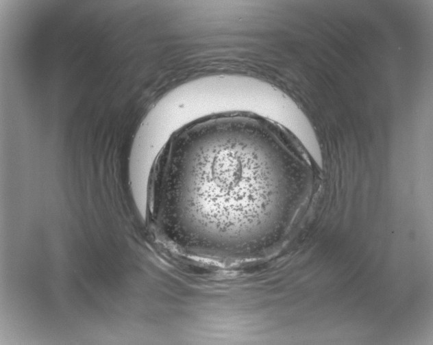 X0000061760227200512161752