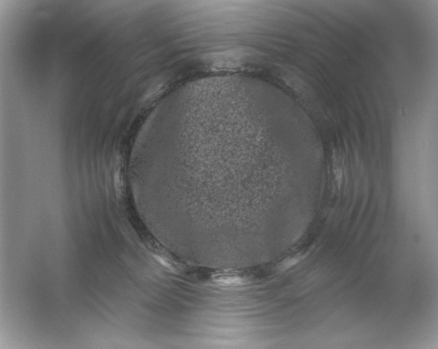 X0000061760228200512161752