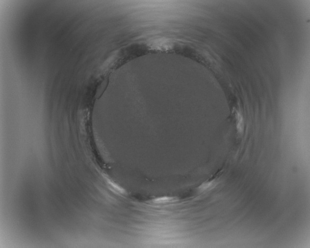 X0000061760229200512161752