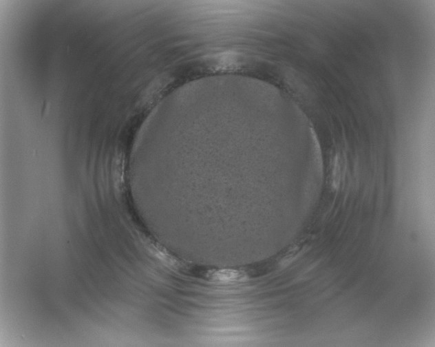 X0000061760230200512161752