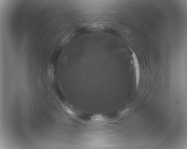 X0000061760231200512161752