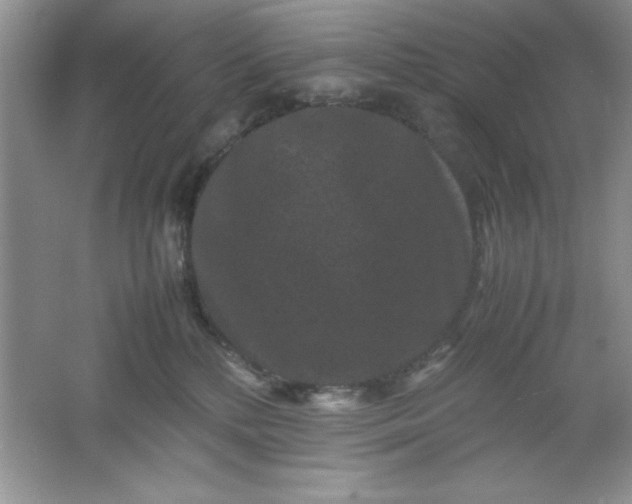 X0000061760232200512161752