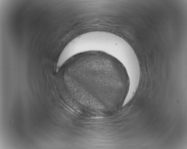 X0000061760233200512161752