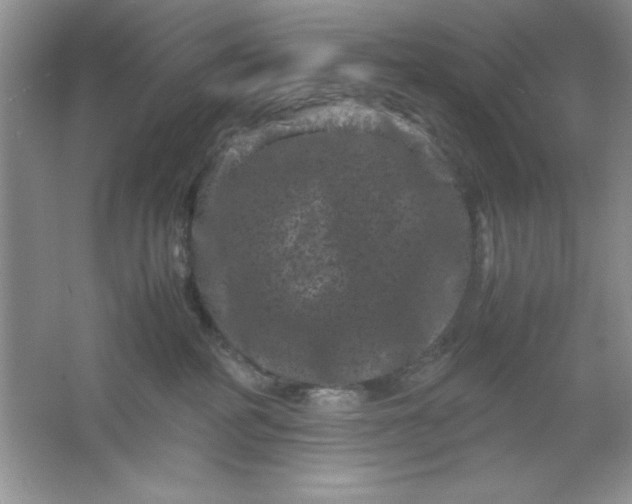 X0000061760234200512161752