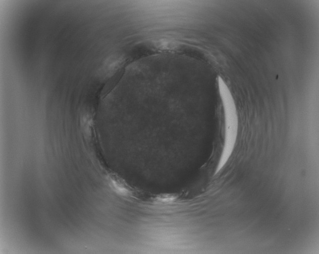 X0000061760235200512161752