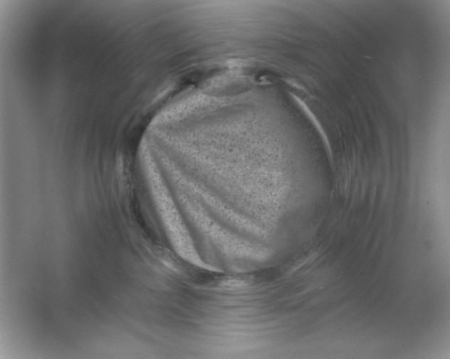 X0000061760236200512161752