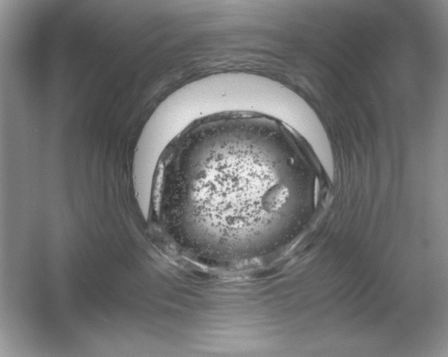 X0000061760237200512161752