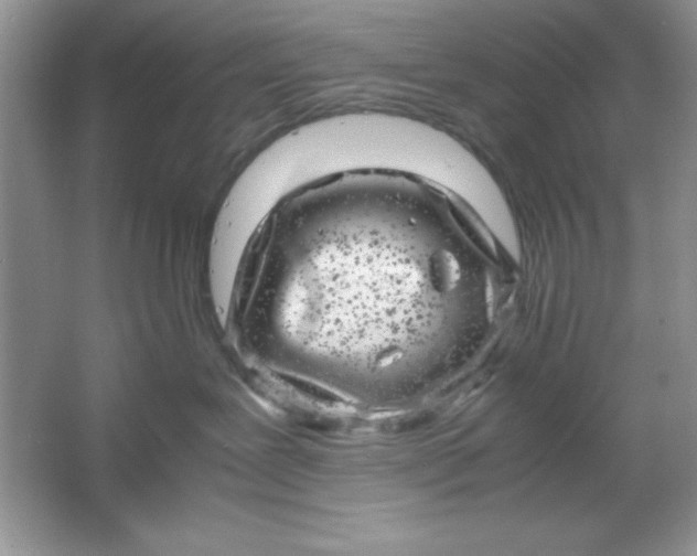 X0000061760239200512161752