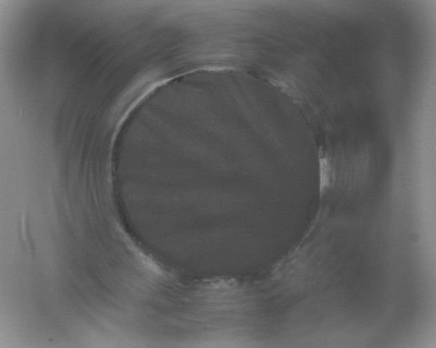 X0000061760243200512161751