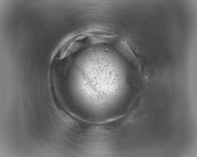 X0000061760244200512161751