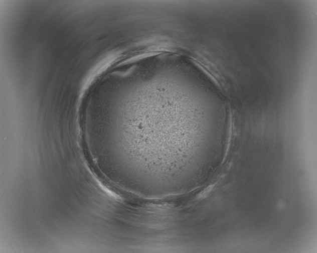 X0000061760245200512161751