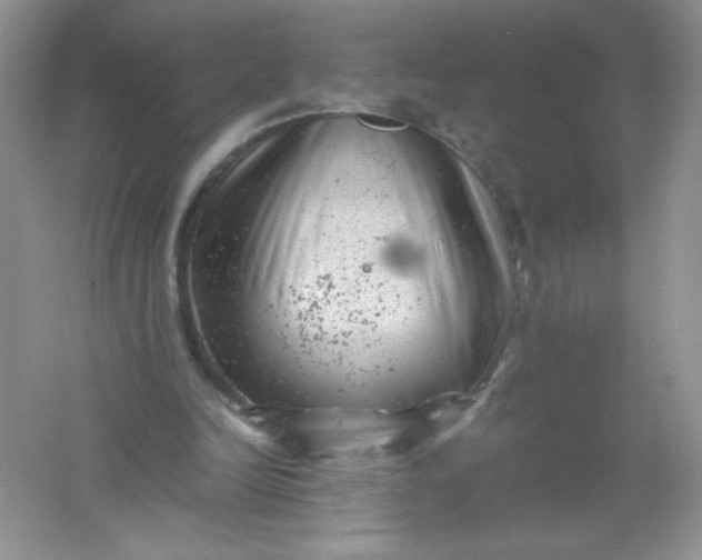 X0000061760246200512161751