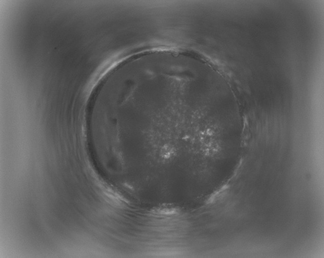 X0000061760247200512161751