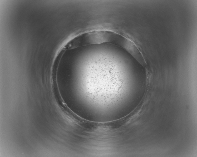 X0000061760248200512161751