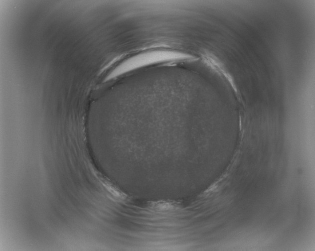 X0000061760249200512161751