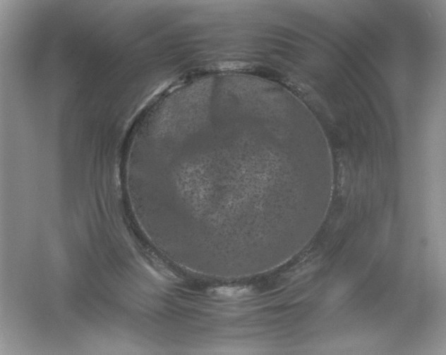 X0000061760251200512161751