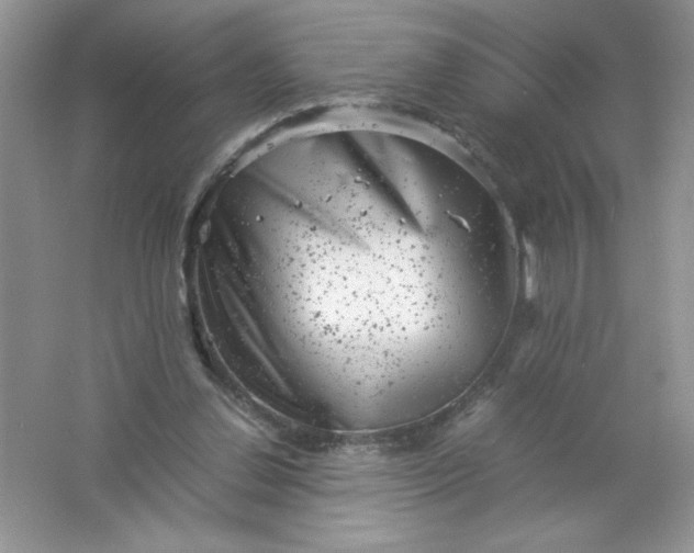 X0000061760252200512161751