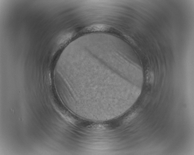 X0000061760254200512161751