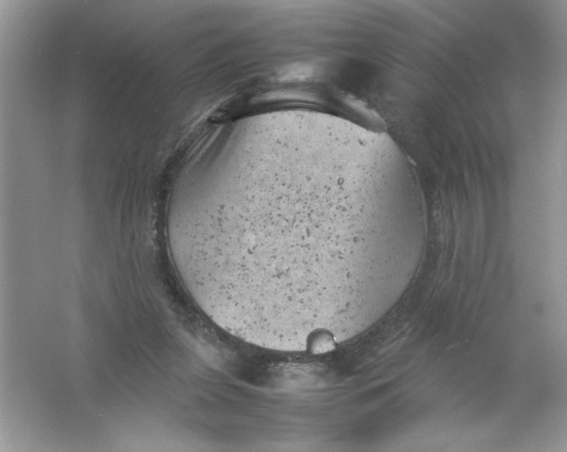 X0000061760255200512161751