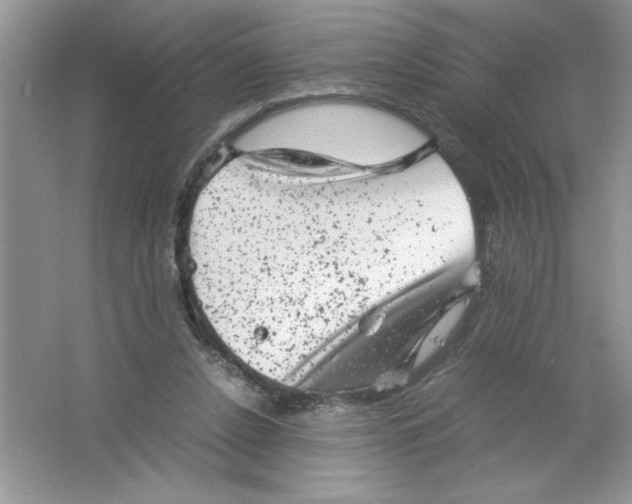 X0000061760256200512161751