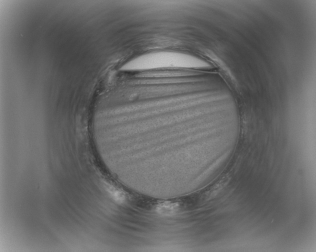 X0000061760257200512161751