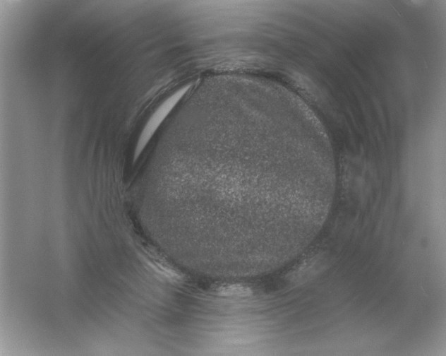 X0000061760258200512161751