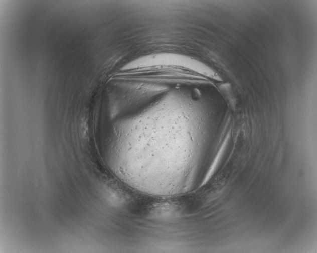 X0000061760259200512161751