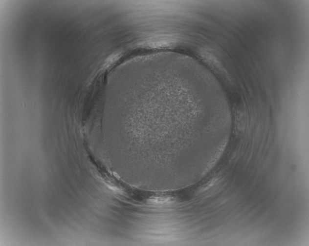 X0000061760260200512161751