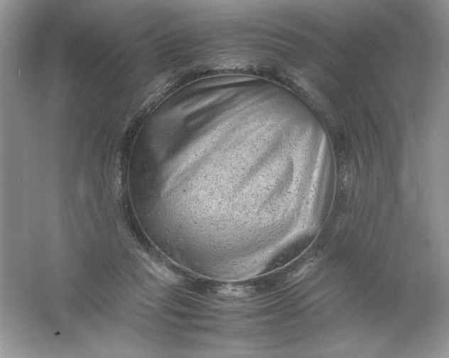 X0000061760261200512161751