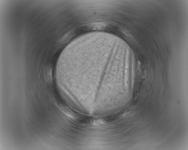 X0000061760262200512161751