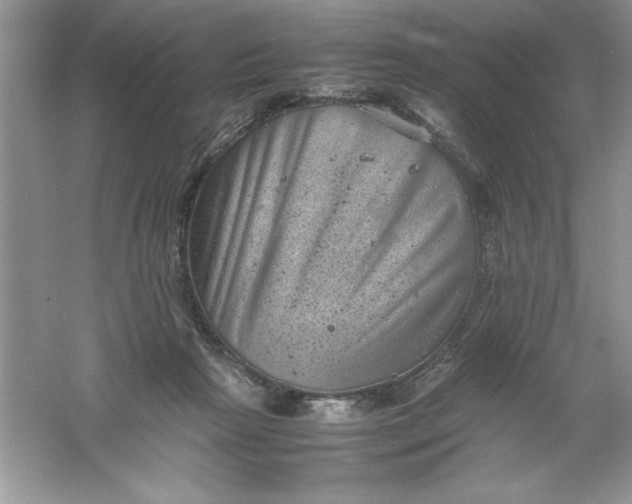 X0000061760265200512161751