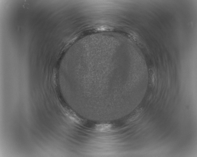 X0000061760266200512161751