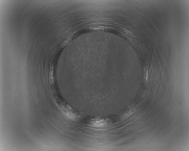 X0000061760267200512161751