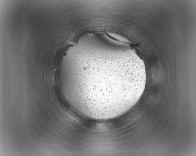 X0000061760268200512161751