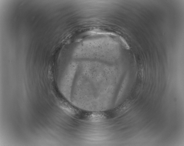 X0000061760270200512161751