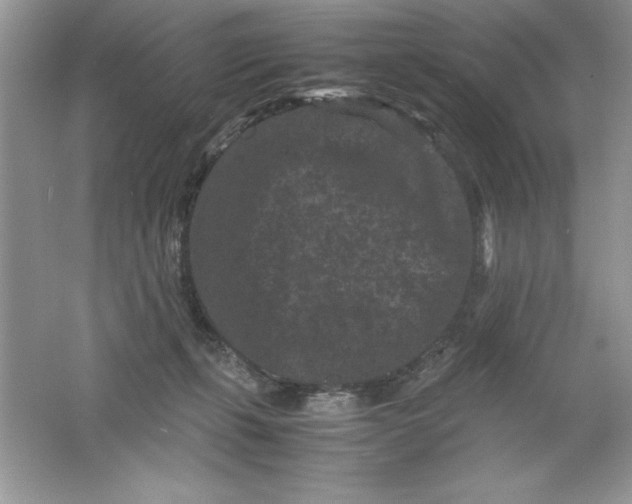 X0000061760271200512161751