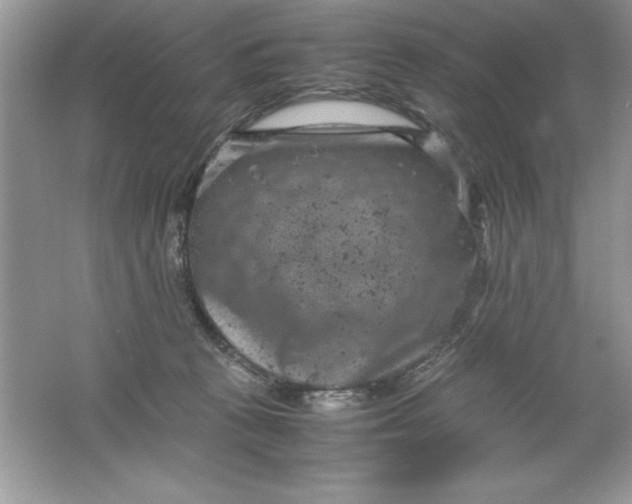 X0000061760273200512161751