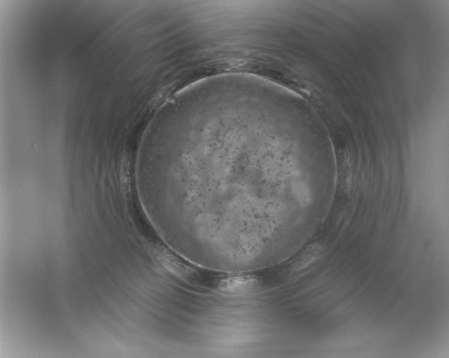 X0000061760274200512161751