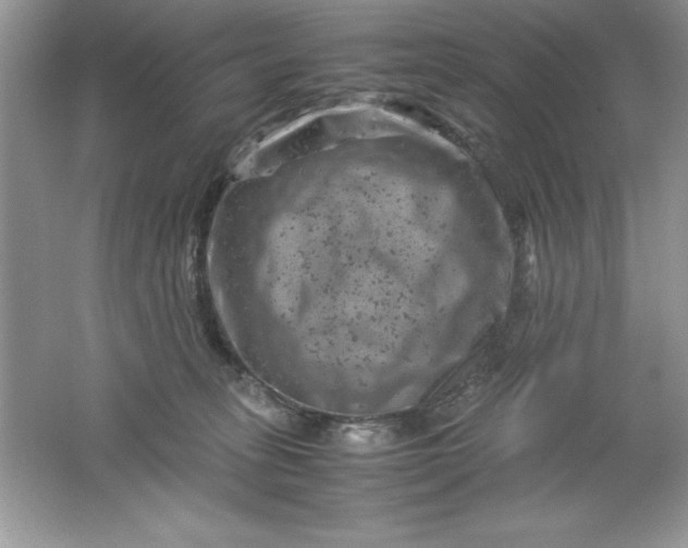 X0000061760275200512161751