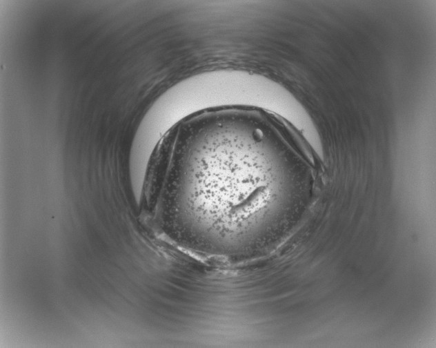 X0000061760276200512161751