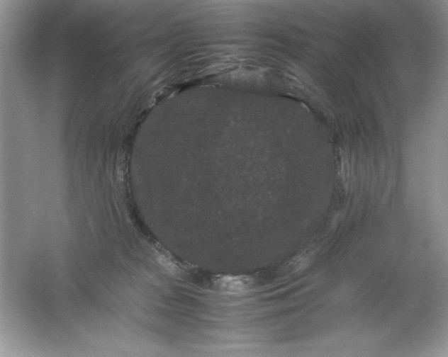 X0000061760277200512161751