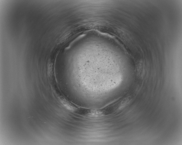 X0000061760278200512161751