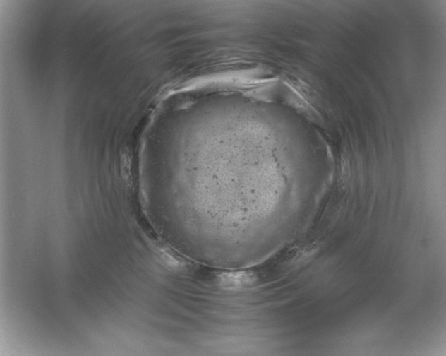 X0000061760281200512161751