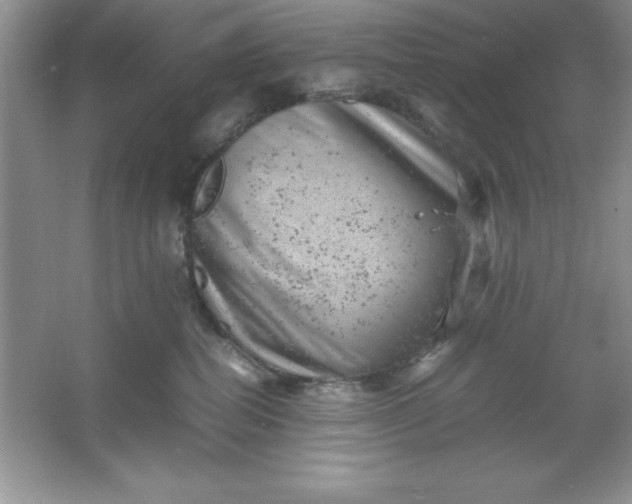 X0000061760282200512161751