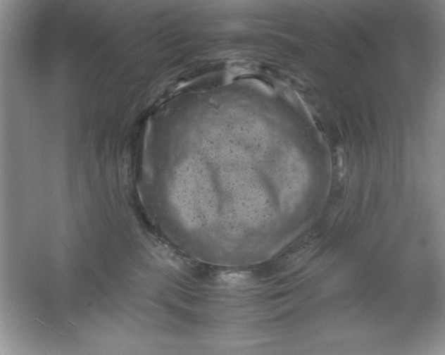 X0000061760283200512161751