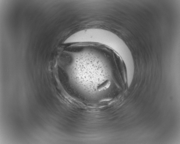 X0000061760284200512161752