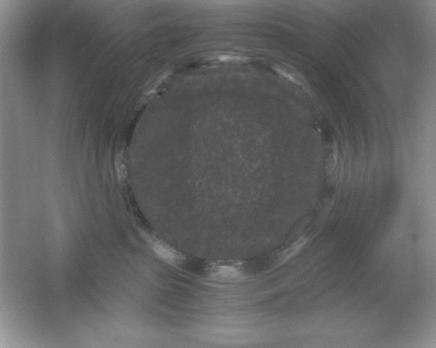 X0000061760285200512161752