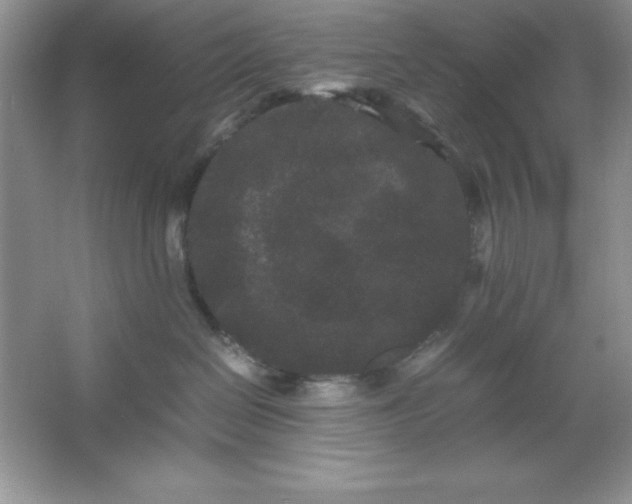 X0000061760286200512161752